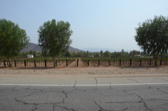 Enlarge photo 13