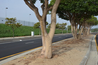Enlarge photo 13