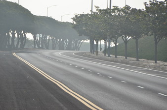 Enlarge photo 31