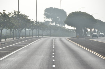 Enlarge photo 37