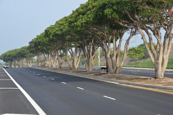 Enlarge photo 38