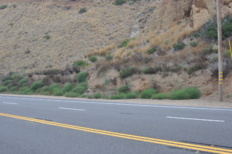 Enlarge photo 29