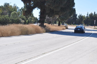 Enlarge photo 21