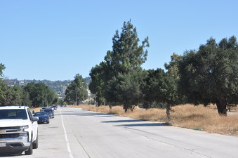 Enlarge photo 22