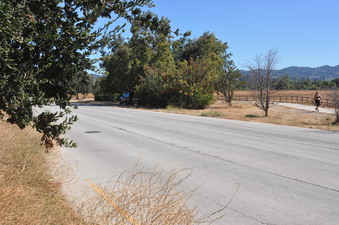 Enlarge photo 26