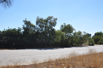 Enlarge photo 35