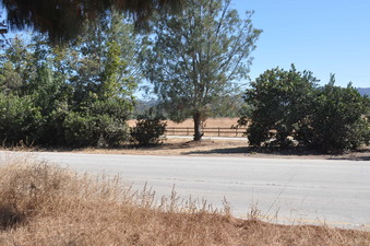Enlarge photo 36
