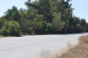 Enlarge photo 37