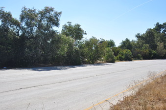 Enlarge photo 38