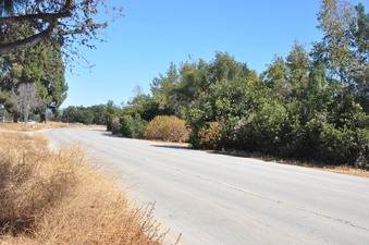 Enlarge photo 39