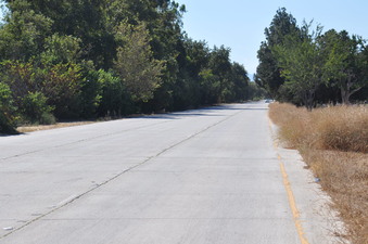 Enlarge photo 40