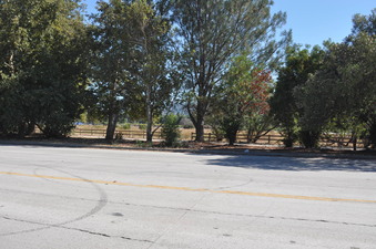 Enlarge photo 43