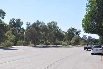 Enlarge photo 45