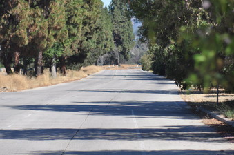 Enlarge photo 52