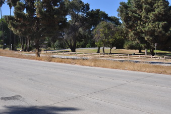 Enlarge photo 53