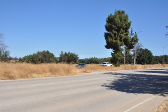 Enlarge photo 60