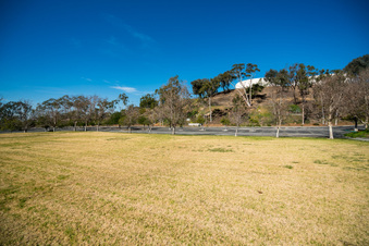 Enlarge photo 117
