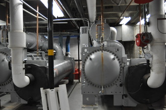 Enlarge photo 51