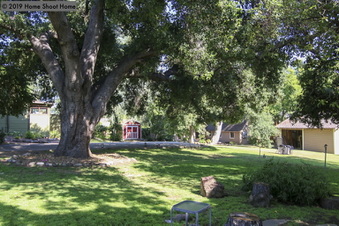Enlarge photo 3