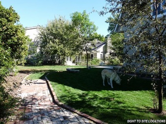Enlarge photo 11