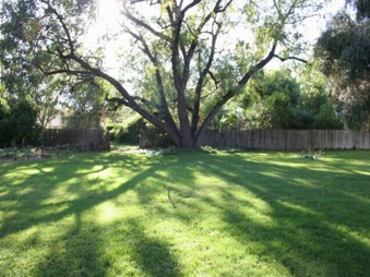 Enlarge photo 2