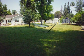 Enlarge photo 3
