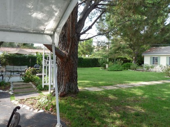 Enlarge photo 8