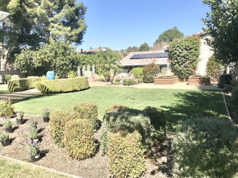 Enlarge photo 23