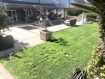 Enlarge photo 18