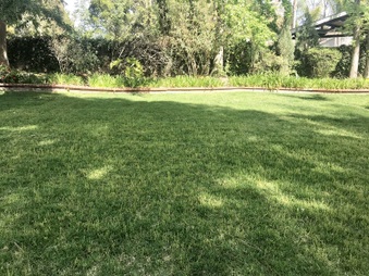Enlarge photo 25