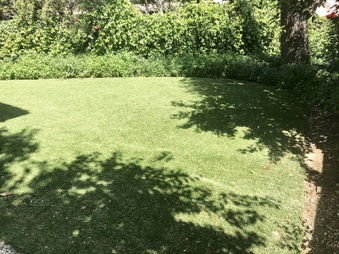Enlarge photo 18