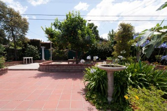 Enlarge photo 84