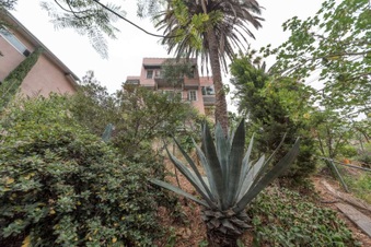 Enlarge photo 6
