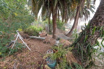 Enlarge photo 71