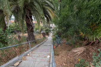 Enlarge photo 95