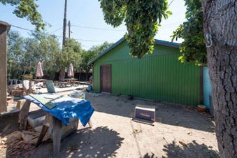 Enlarge photo 55