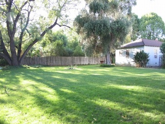 Enlarge photo 51