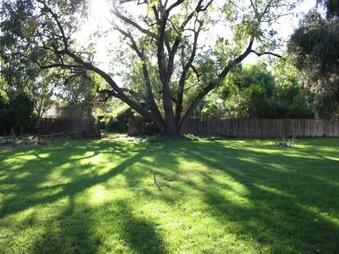 Enlarge photo 52