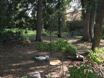 Enlarge photo 56