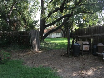 Enlarge photo 57