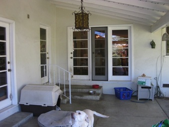 Enlarge photo 35