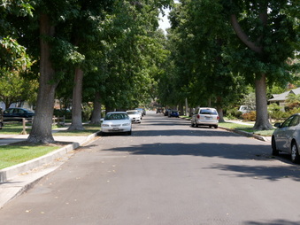 Enlarge photo 43