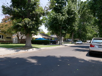 Enlarge photo 44