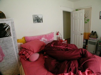 Enlarge photo 87