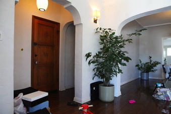Enlarge photo 45