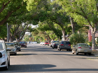 Enlarge photo 20