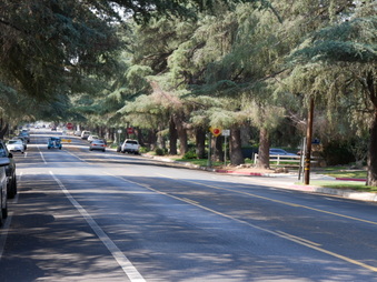 Enlarge photo 6
