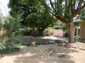 Enlarge photo 23