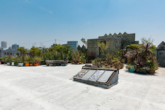 Enlarge photo 67
