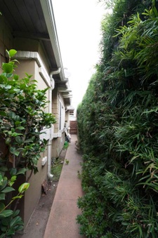 Enlarge photo 50